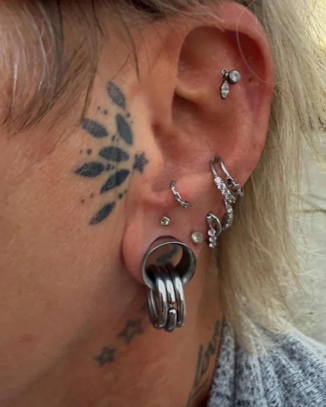 #tunnelpiercing #conchpiercing #lobepiercing #flatpiercing #tathspiekswerkstatt #tathspiercing #wächtersbach